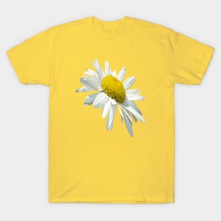 Close Up Common White Daisy Cut Out T-Shirt